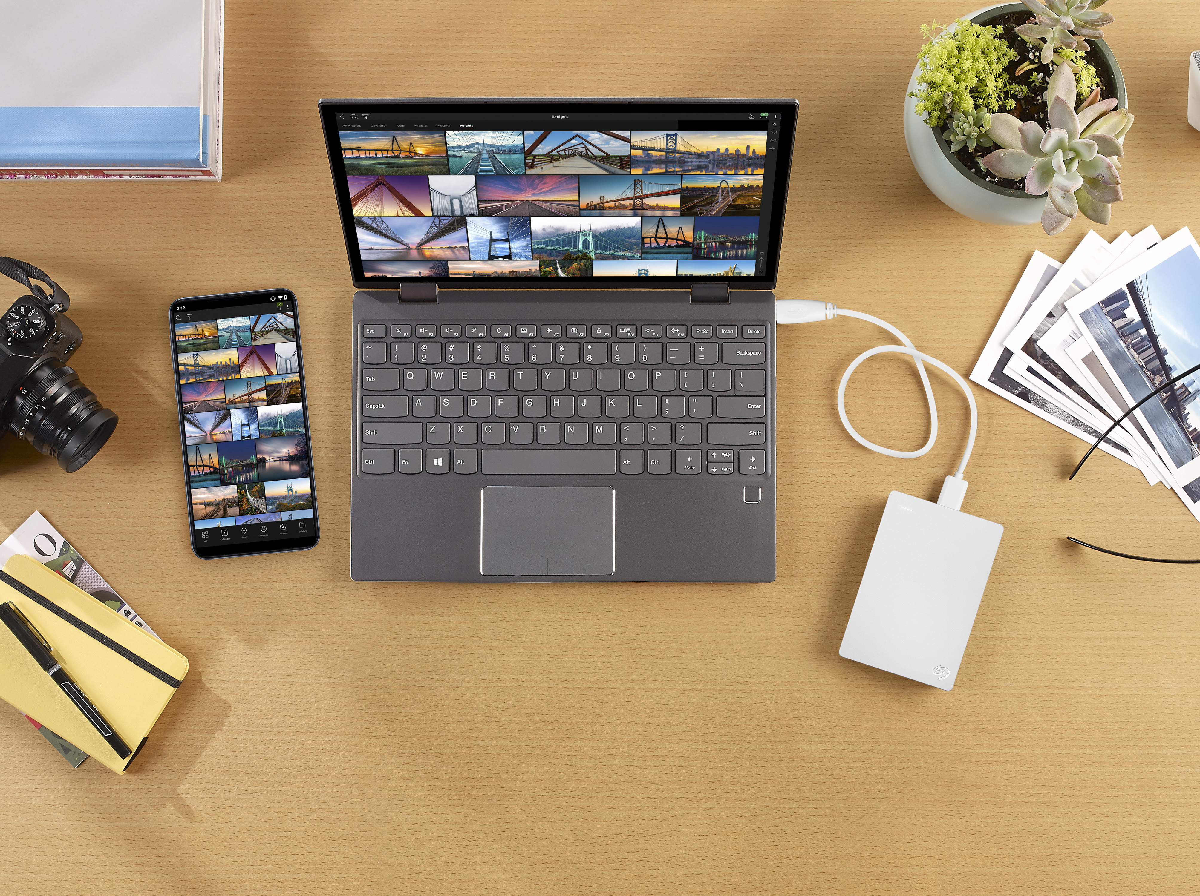 Seagate 2TB Photo Drive with Mylio Create Portable photo 7