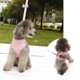 thumbnail image 2 of unbranded Arnés Para Perro Rosa Con Correa Y Pecho De Malla Ajustable Floral Para Mascotas, 2 of 8
