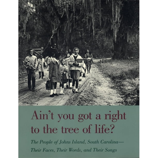 Brown Thrasher Books Ain T You Got A Right To The Tree Of Life The People Of Johns Island South Carolina Their Faces Their Words And Their Songs Paperback Walmart Com Walmart Com
