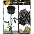 thumbnail image 3 of Flores de rosas negras preservadas YAMPP para mujer, 5 años de duración, 3 of 7