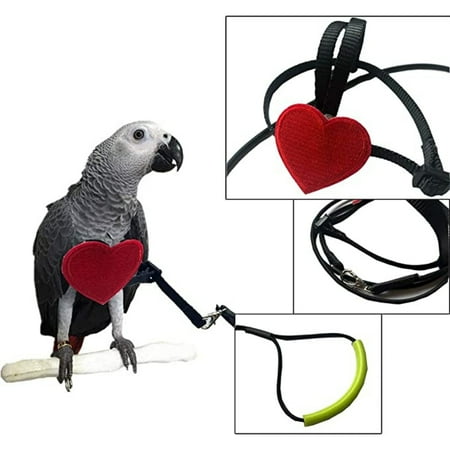 Dsseng Bird Harness Leash Parrot Flying Leash Straps Wings Traction Rope Adjustable Elastic Training for Lovebird Cockatiel