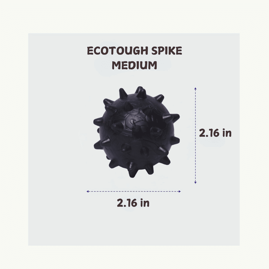 Hevea Pet Natural Rubber Non Toxic EcoTough Spike Dog Toy