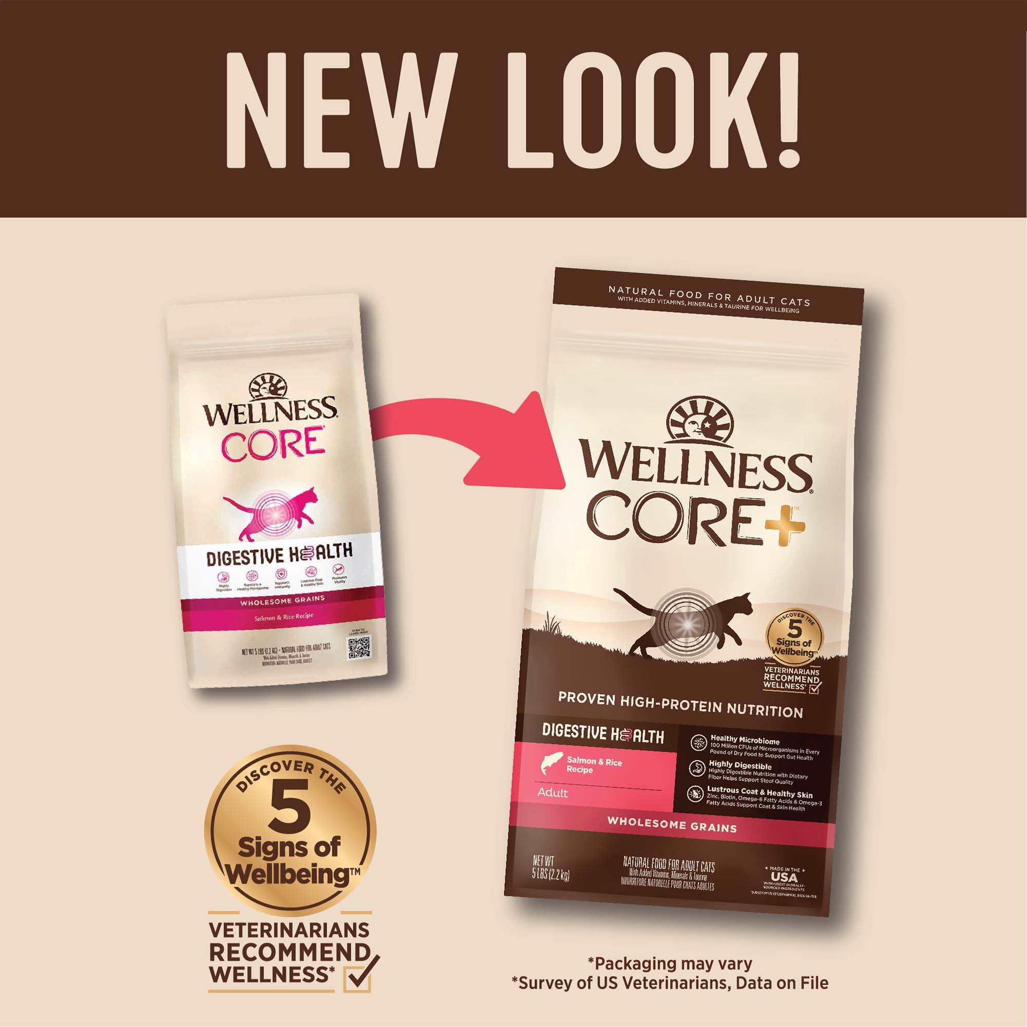 Wellness CORE+ Digestive Health Salmon & Rice Dry Cat Food, 5 Pound Bag