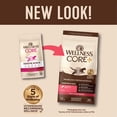 thumbnail image 4 of Wellness CORE+ Digestive Health Salmon & Rice Dry Cat Food, 5 Pound Bag, 4 of 9