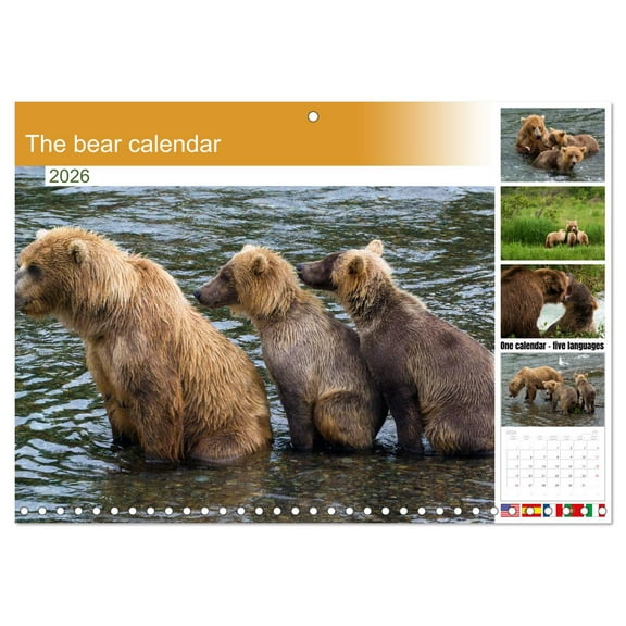 The bear calendar (Monthly Wall Calendar 2026 11.7 x 16.5 (open)), CALVENDO 14 Month Calendar