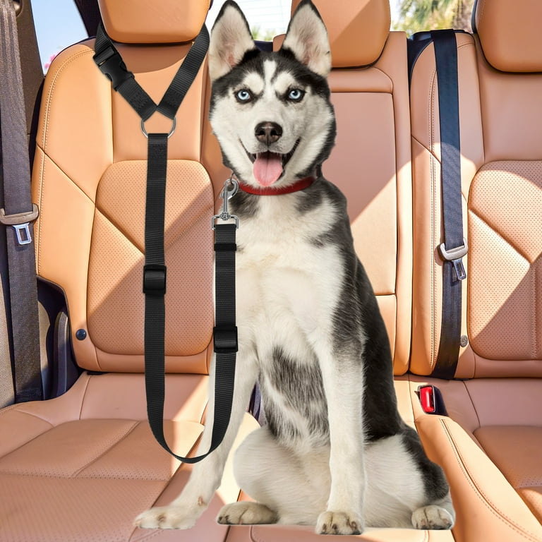 Dog Car Seat Belt, TSV 2pcs Nylon Tether Adjustable Pet Backseat Harness  Seatbelt for Vehicle Travel Daily Use, Black - Walmart.com