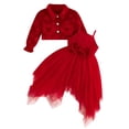 thumbnail image 2 of Conjunto de dos piezas de top navideño con cuello vuelto y manga larga para niña y falda acampanada sin tirantes de red irregular, vestido de algodón para niña, 2 of 9