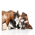 thumbnail image 3 of Funny Duvet Cover Set, Cat and Dog Cuddling Lying on Floor Friendship Theme Animals Togetherness, Decorative 2 Piece Bedding Set with 1 Pillow Shams, Twin Size, Brown Black White, by Ambesonne, 3 of 3