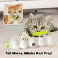 thumbnail image 4 of Cat Toy with Worm Design, Wall & Window Mounted Cats Toys for Indoor Cats, Interactive Play, 4 of 8