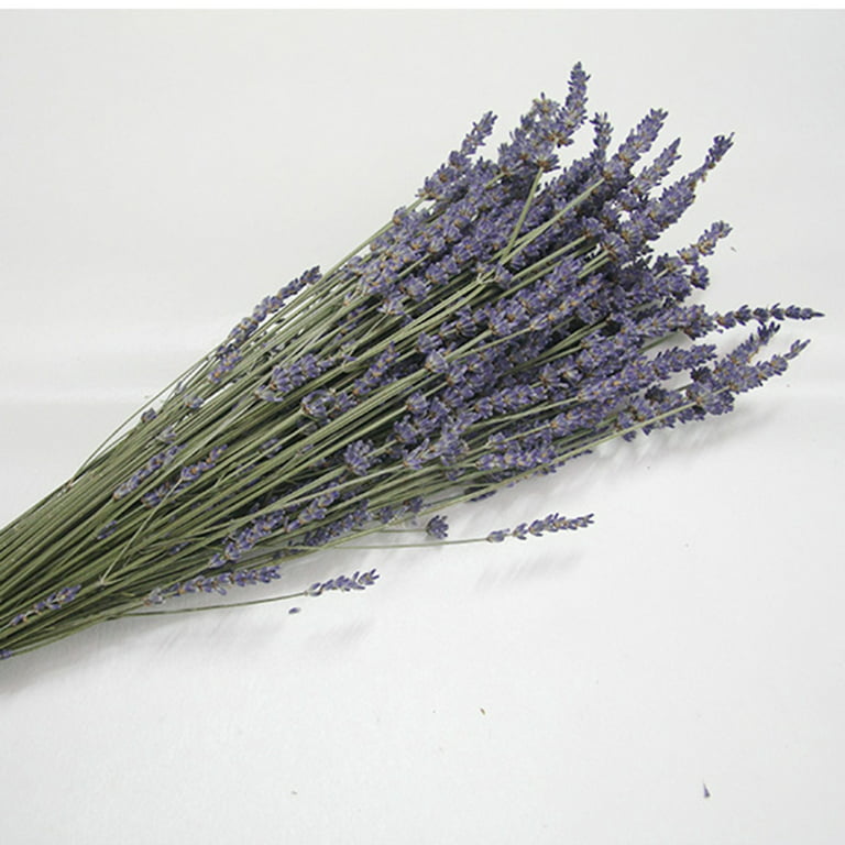 80pcs Dried Flowers Light Purple Lavender English Blue Dried Flowers  Bouquet Decorative Perpetual Flower Bouquet 