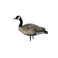 thumbnail image 4 of Open Box Avian X AXP Fusion Honker Goose Decoy Pack, AVX9006, 4 of 19