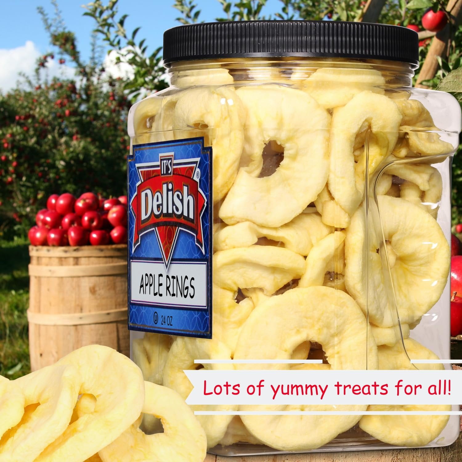 Dried Apple Rings by Its Delish, 24 OZ Jumbo Container  Soft Moist Apple Rings - No Sugar Added  Unsweetened Dried Apples Slices Fruit Snacks  Vegan, Kosher