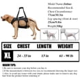 thumbnail image 2 of Coodeo Rehabilitation Support Series Adjustable Dog Lifting Aid Full Body Harnesses, Black, XL (24 in to 33 in Chest Size), 2 of 6