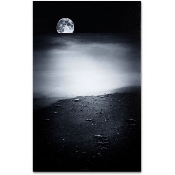 Trademark Fine Art "Black Sweat" Canvas Art by Philippe Sainte-Laudy