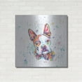 thumbnail image 3 of Luxe Metal Art 'Colorful Watercolor Boston Terrier' by Furbaby Affiliates, Metal Wall Art, 36"x36", 3 of 9