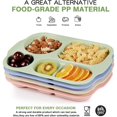 thumbnail image 3 of Set of 4 Divided Dinner Plates, 5 Compartments,Shatterproof Divider Plates, 3 of 5