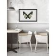 thumbnail image 4 of Hunter Green Butterfly Framed Painting Print, 4 of 5