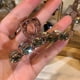 thumbnail image 1 of Pinza para el pelo de cristal brillante para mujer - Diseño grande para la nuca, sujeción segura, decoración elegante - para peinados recogidos y moños, 1 of 5