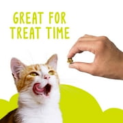 (2 pack) Purina Friskies Cat Treats, Party Mix Beachside Crunch, 30 oz.