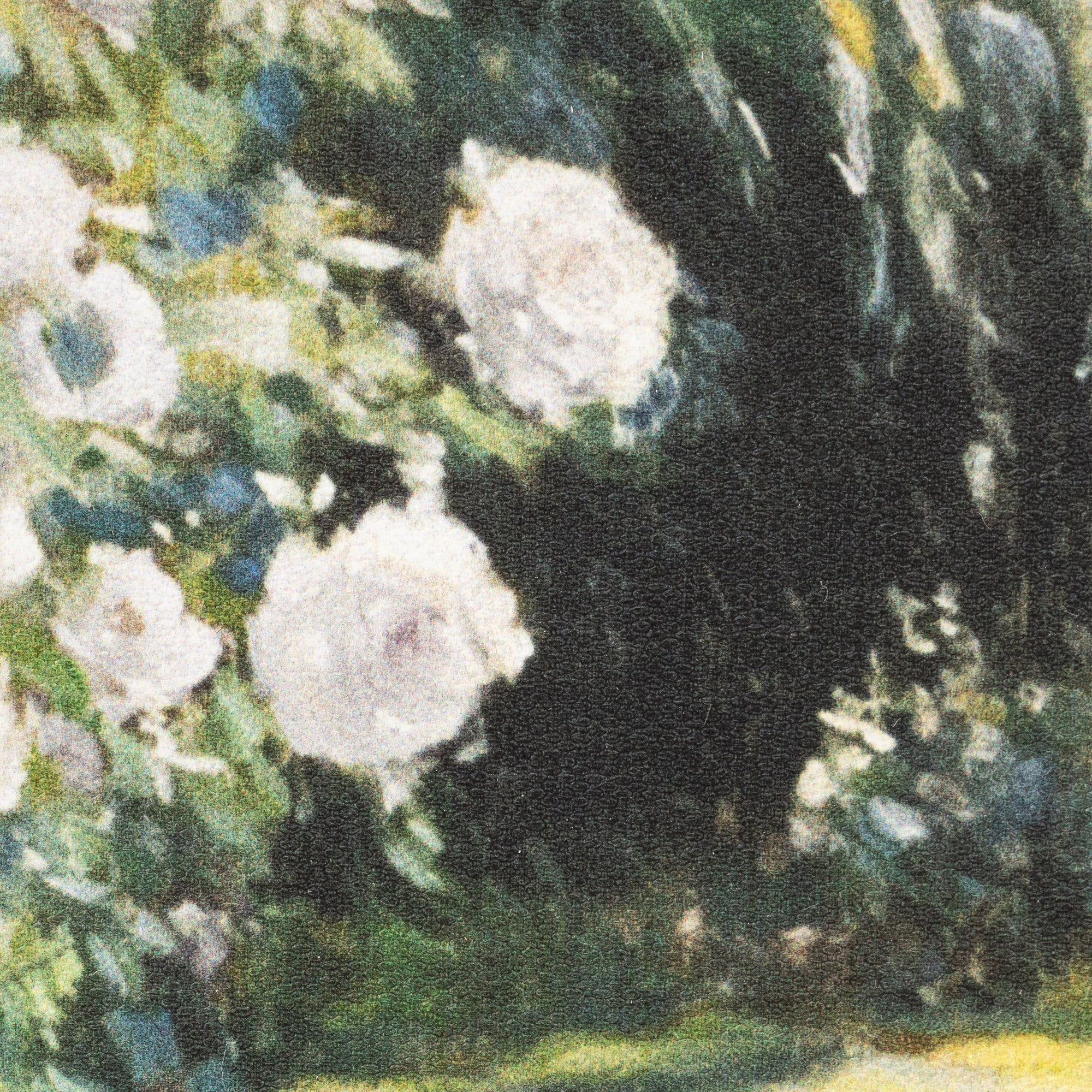 My Texas House Spring Art rose garden moment Framed Canvas w/Velvet Hanger 8x6