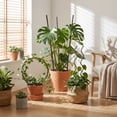 thumbnail image 5 of 10Pcs Flexible Plant Support Stakes, Bendable Indoor Garden Rods for Custom Orchid Training and Potted Plant Growth Path Optimization Use, 5 of 5
