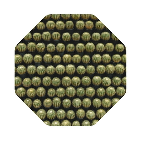 

Matuu Cactus Farmland for Cup Coasters Set of 6 Leather Coasters Desk Coasters for Office Measures 4” x 4” Octagon