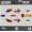 Orange, variant on Kalair GFX Graphics Kit for Yamaha TTR125 (2008-2023) Lethal Series