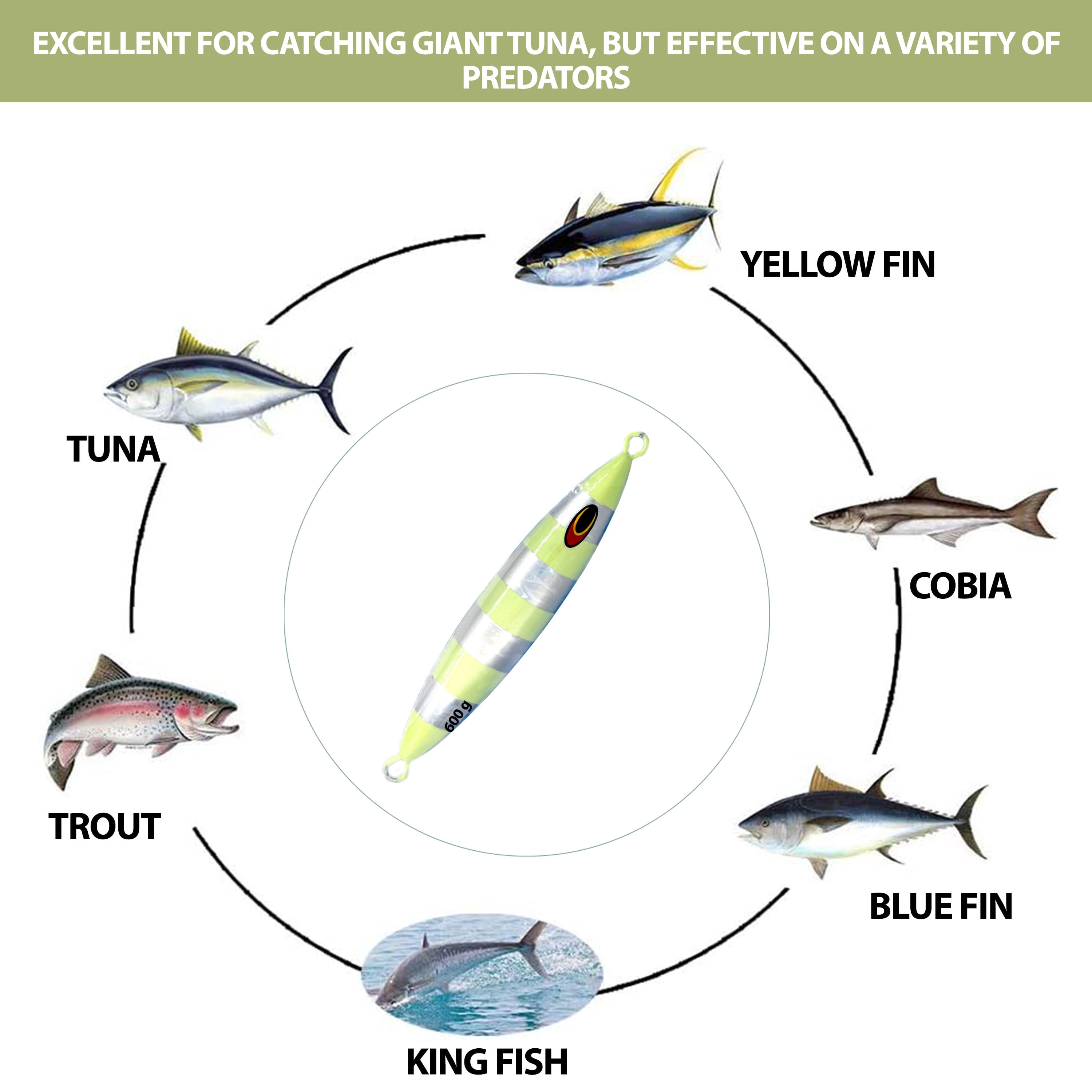 7" Tuna Jig 600g,3 Pcs Silver Zebra Glow Saltwater Fishing Lures, Fishing Gear & Tackle, Tuna Fishing Jig