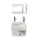 thumbnail image 1 of Combo de Gabinete para Baño con Puerta Y Cajón con Lavabo Y Monomando + Botiquín con Espejo, 1 of 5