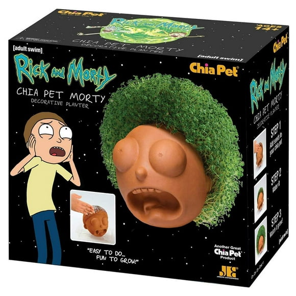 Morty Rick and Chia Pet Morty Poterie Décorative Planteur