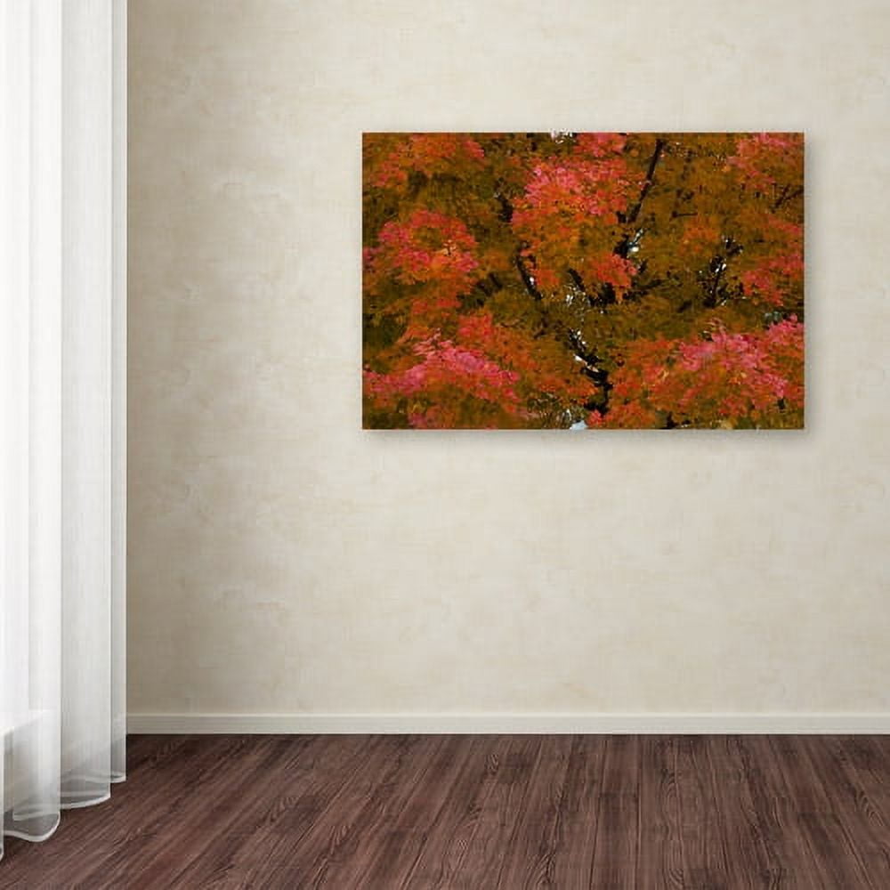 Trademark Fine Art "Autumn Maple Splendor" Canvas Art by Kurt Shaffer