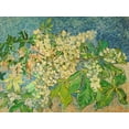 thumbnail image 2 of van Gogh, Vincent 14x12 Gold Ornate Wood Framed with Double Matting Museum Art Print Titled - Blossoming Chestnut Branch, 2 of 4