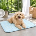 thumbnail image 4 of Pet Cooling Mat, Self-Cooling Ice Silk Cooling Pad, Pink X-Size 15.7 x 11.8 Inch, Summer Cooling Pet Bed for Small Medium Dogs Cats Teddy Keep Cool for Summer Indoor Outdoor Use, 4 of 8