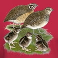 thumbnail image 3 of CafePress - Coturnix Quail Family Dark T Shirt - Men's Classic Graphic Cotton T-Shirt, 3 of 4
