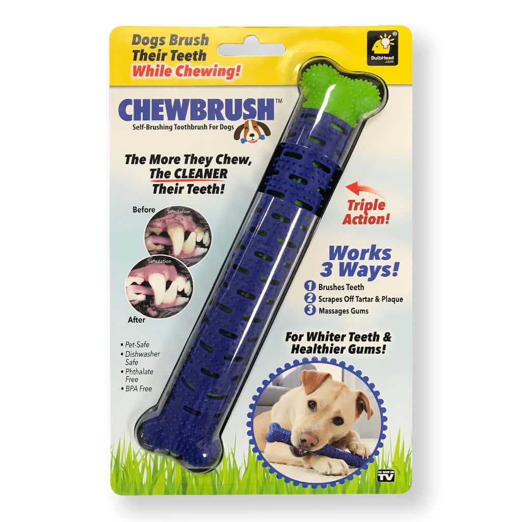 dog chewing toothbrush