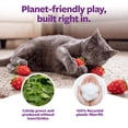 thumbnail image 5 of SmartKat Market Strawberries, 5 of 7