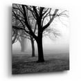 thumbnail image 2 of Epic Art 'Trees' by Photoinc Studio, Acrylic Glass Wall Art, 12"x12", 2 of 8