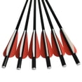 thumbnail image 2 of 14"-18" Crossbow Bolts Arrows Fiberglass Shafts with Flat Nock for Archery Small Target Hunting, 2 of 3