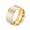 10mm Gold, variant on Men's Stainless Steel Dragon Ring Cool Ancient Guardian Beast Goth Rings Band White Tiger, Suzaku, Basalt Black Size 11