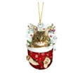 thumbnail image 2 of BKER Christmas Acrylic Christmas Stockings For Cats Decorations Christmas Tree Decorations Crafts Hanging Decorations, 2 of 4