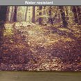 thumbnail image 6 of Ambesonne Landscape Place Mats Set of 4, Misty Weather Forest, Standard Size, Pale Yellow Dark Orange, 6 of 6