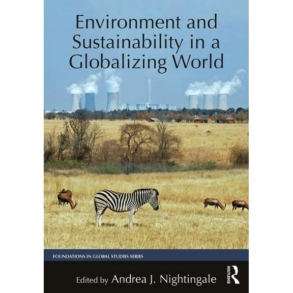 Foundations in Global Studies Environment and Sustainability in a Globalizing World, (Paperback)