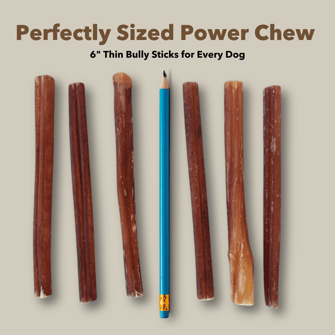 6" Thin Bully Sticks