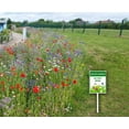 thumbnail image 4 of Wildflowers Do Not Mow Sign, No Mow Sign, Wildflower Sign, 8 x 12 inch, Set of 1, Sturdy Aluminum Sign Weatherproof, Fade Resistant, Outdoor Use, Garden & Lawn Decor, 4 of 5