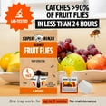 thumbnail image 2 of Fruit Fly Traps for Indoors - 4 Pack, Highly Effective Fruit Fly Catcher for Indoor Use for Home & Kitchen, Up to 3 Weeks of Performance per Bottle, Kid & Pet Friendly, 2 of 5