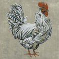 thumbnail image 2 of Roost III by Chariklia Zarris, Canvas Wall Art, 12W x 12H, 2 of 2
