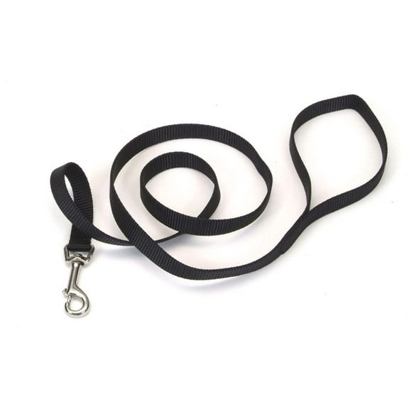 Coastal Single-Ply Nylon Dog Leash Black 1ea/3/4 In X 4 ft