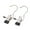 Black, variant on Staron 2PCS Clothes Pins Stainless Steel Hanger Clips (Beige), Hangers with Clips Laundry Hooks Hanging Clips Closet Hanger Organizer Sock Towel Clips Heavy Duty Clothespins Hanger Clips