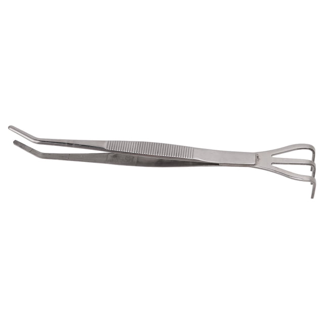 Bonsaï Root Rake, 3 dents en acier inoxydable desserré outils de sol Moss Harveting Twezers Outils de bonsaï Root Rake avec pinceau pour les plantes de jardinage