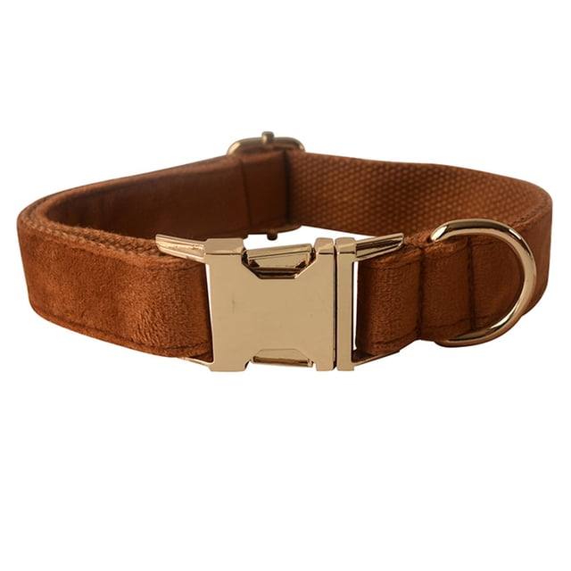 Collar para perro con pajarita Dinheiro, collar de terciopelo para perro con cierre de metal con pajarita desmontable